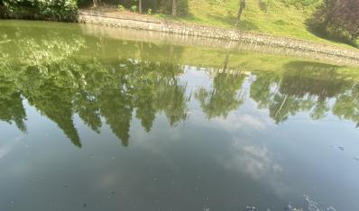 臨汾黑臭河道